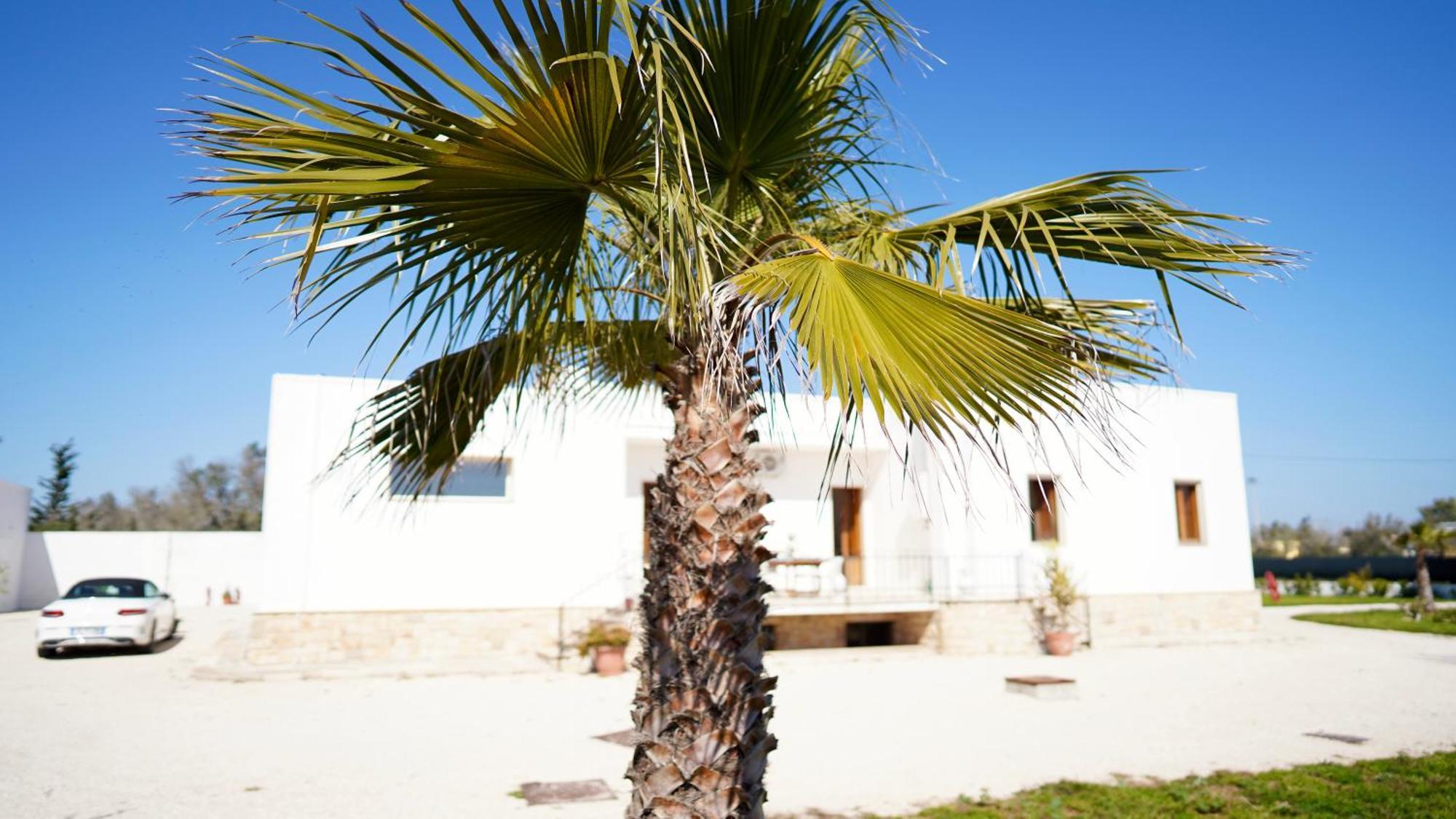 Villa Mia San Ligorio Exterior photo